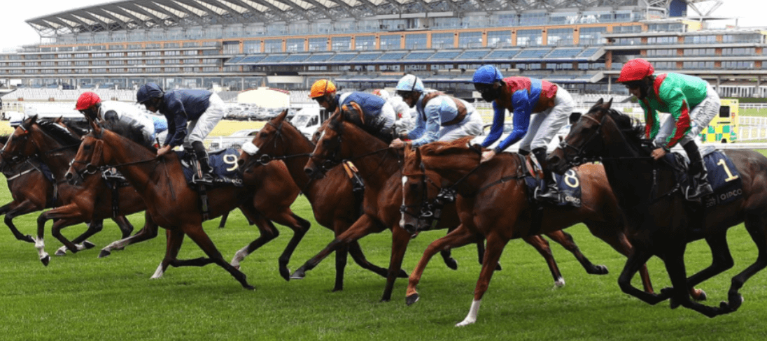 Win 2023 Royal Ascot tickets with Harrogate Spring Water