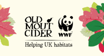 Win a weekend in the wild with Old Mout Cider