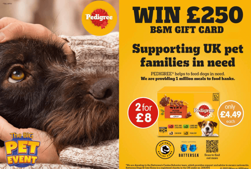 Win a £250 gift card with B&M and Pedigree